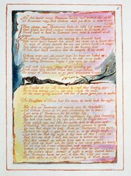 Visionen der Töchter Albions, 